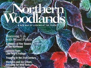 Northern Woodlands magazine cover
