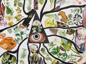 Milford Graves Collage Excerpt