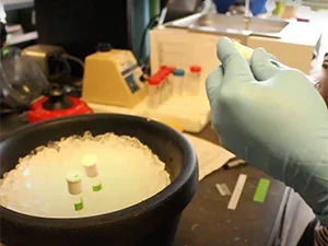 Image of hands near bowl of ice