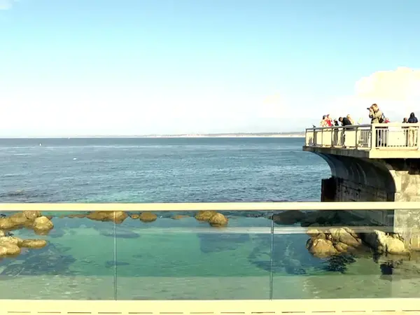 Screen shot from video